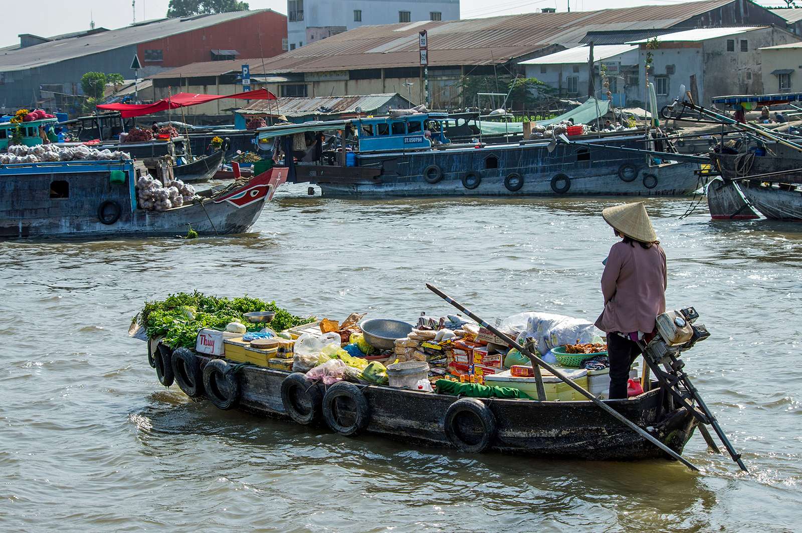 Exploring the Mekong Delta