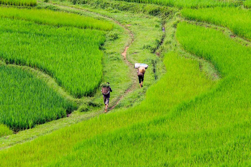 Top 10 Off The Beaten Path Destinations in Vietnam