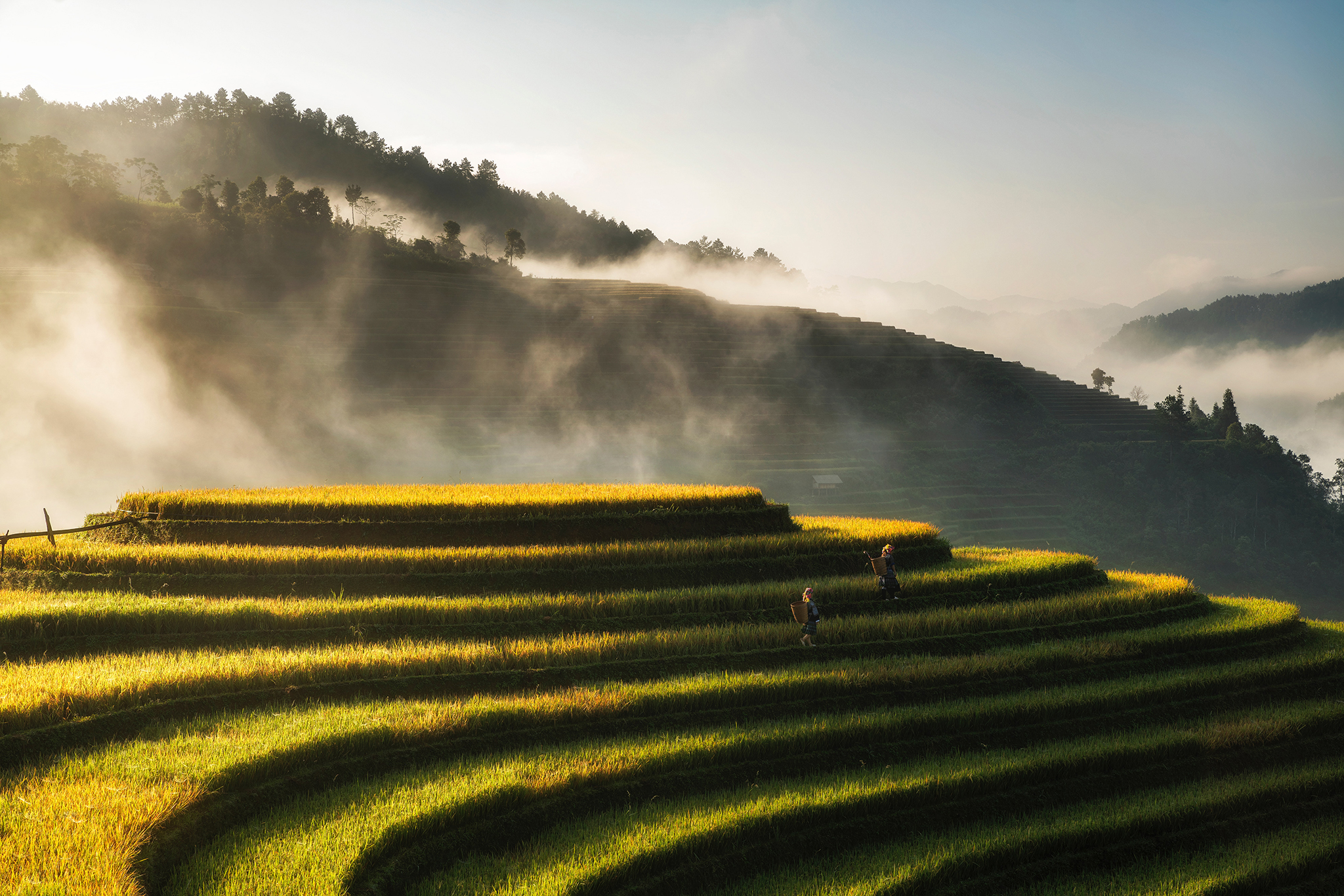 Exploring Sapa Vietnam – The Enchanting Beauty of The Highlands